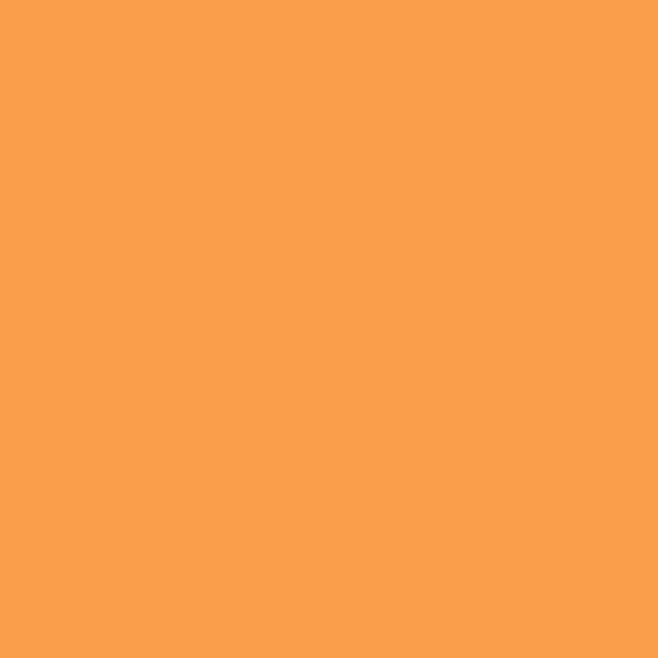 LOOP PAINT 400ML