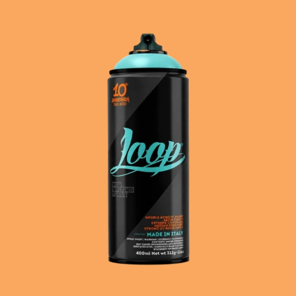 LOOP PAINT 400ML