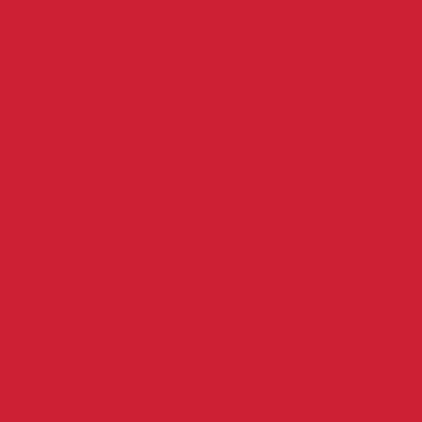 LOOP PAINT 400ML