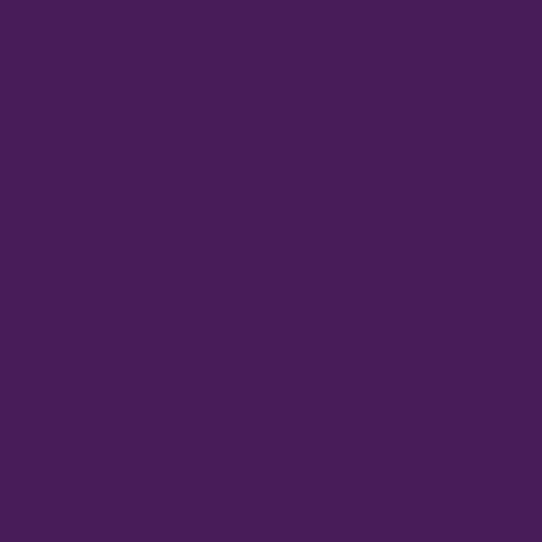 LOOP PAINT 400ML