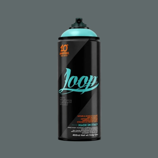 LOOP PAINT 400ML