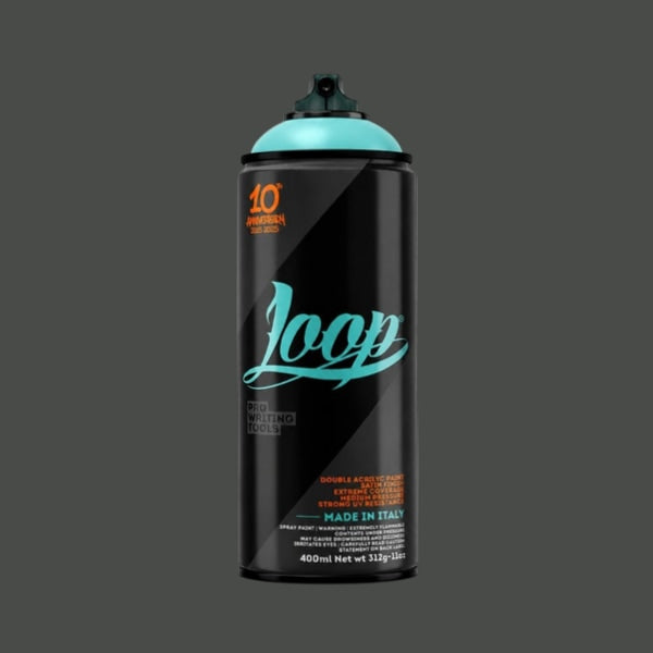 LOOP PAINT 400ML